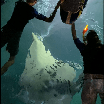 a person in a pool of water